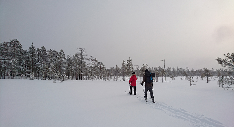 Två personer som åker skidor över en snötäckt myr.
