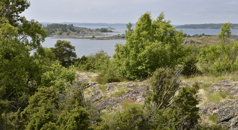 Foto från Kopparholmarnas naturreservat