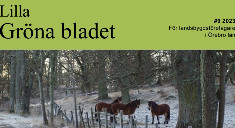 Bild på texten Lilla Gröna bladet nr 9 2023 och hästar i vintrig hage.
