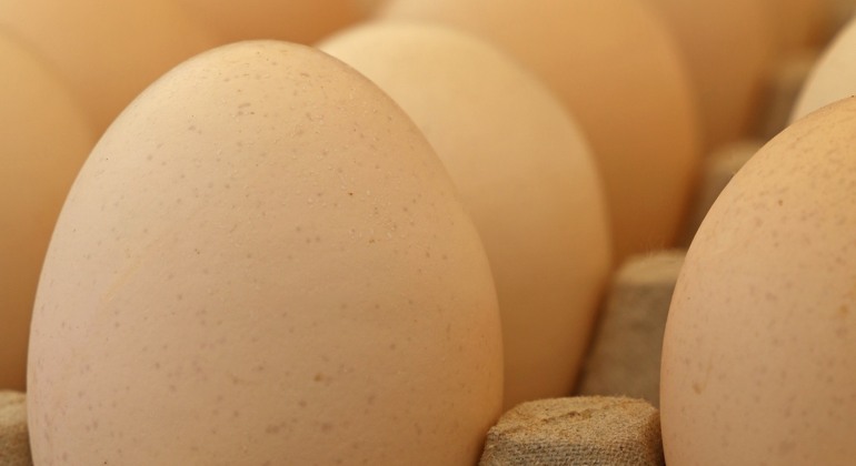 Närbild på ägg i en äggkartong.