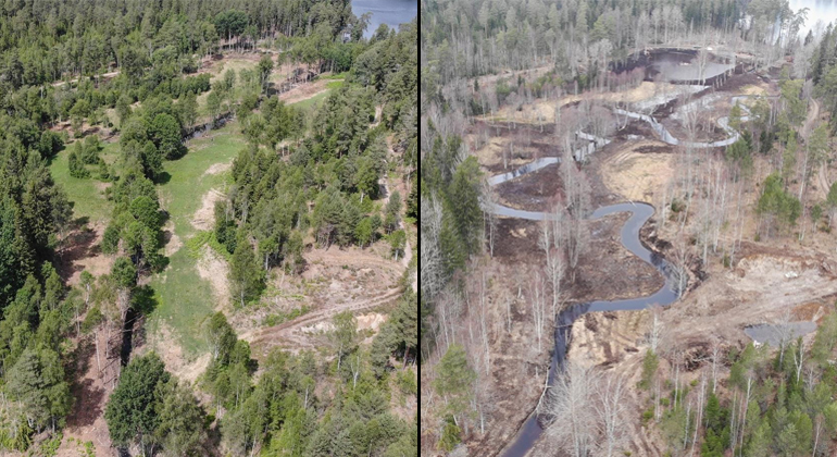 Två bilder bredvid varandra. Den vänstra visar ett rakt vattendrag. Den högra visar samma vattendrag som nu slingrar sig fram. På den vänstra bilden är det sommar och träden är gröna, på den högra är det vinter och träden är kala.