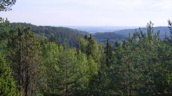 Utsikt över Dvardalaskogen
