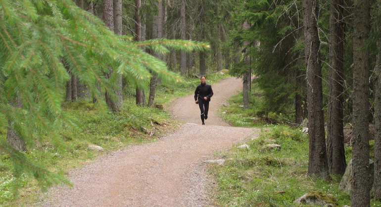 Inom området finns många stigar lämpliga för en joggingtur. Foto: Länsstyrelsen Gävleborg