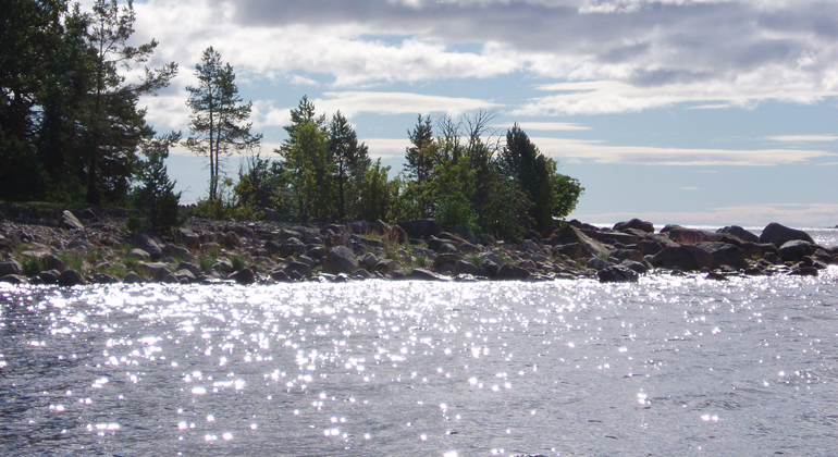 Solglittrande hav i Vattingsmalarnas naturreservat. Foto: Länsstyrelsen Gävleborg