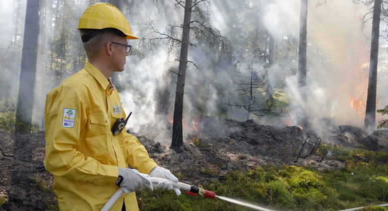 En person som arbetar med att släcka en naturvärdsbränning i skogen