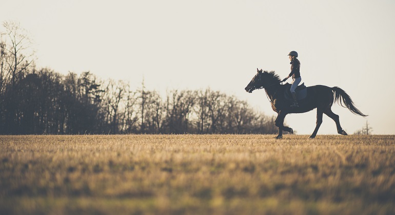 Ett foto av en äng där man höger i bild ser en kvinna rida på en brun häst. 