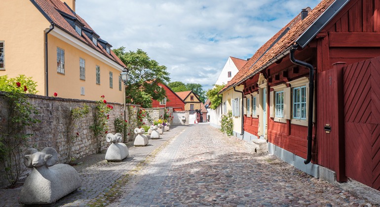 Vy över en gata med kullersten kantad av gamla sten- och trähus i olika färger och storlekar.