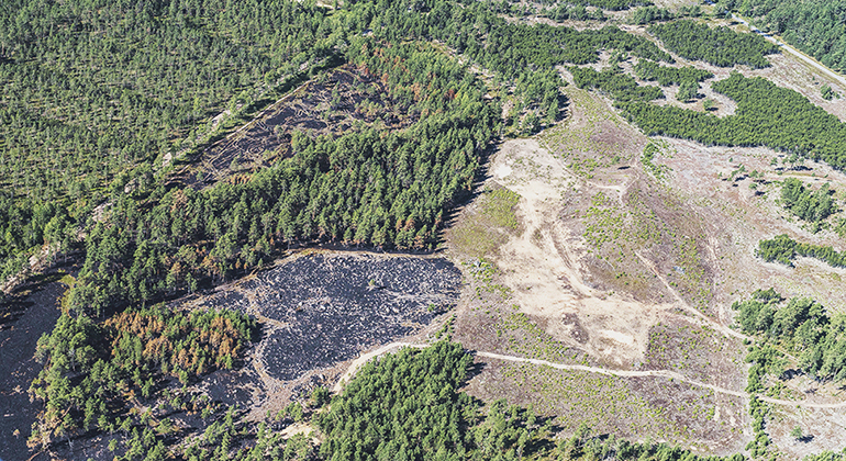 Flygbild över Slättö sand. De mörka partierna är efter naturvårdsbränningen som genomfördes 2014.
