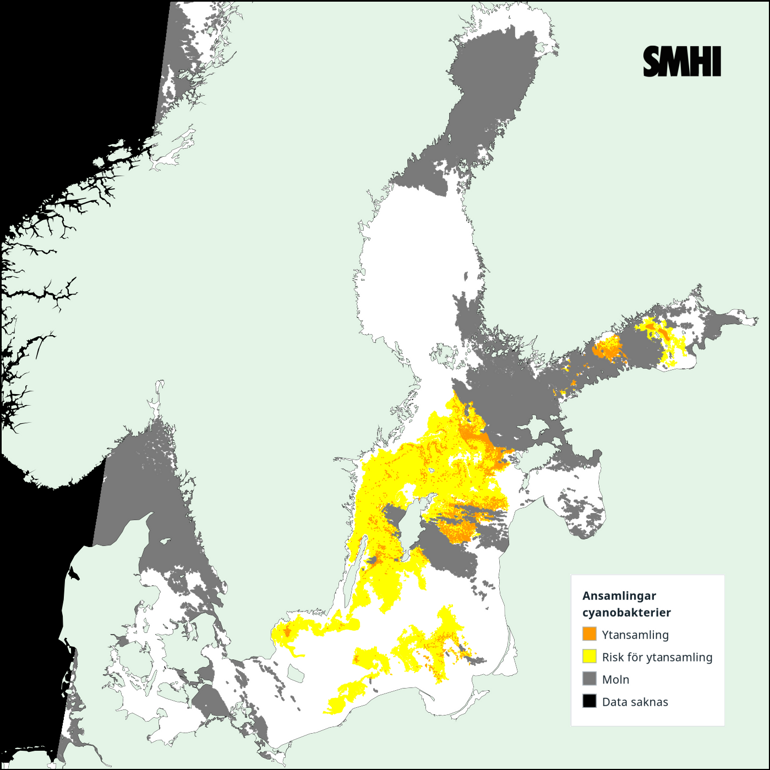 Tolkning av satellitkarta över Egentliga Östersjön 25/6. Källa: SMHI