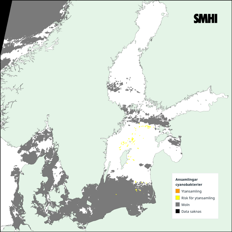 Tolkning av satellitkarta över Egentliga Östersjön 15/6. Källa: SMHI