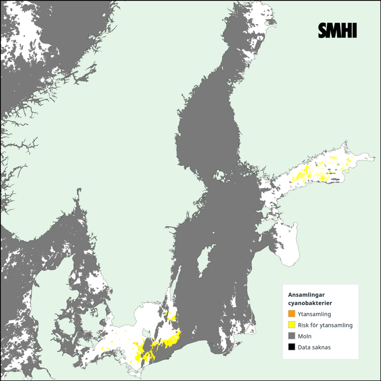 Tolkning av satellitkarta över Egentliga Östersjön 16/7. Källa: SMHI