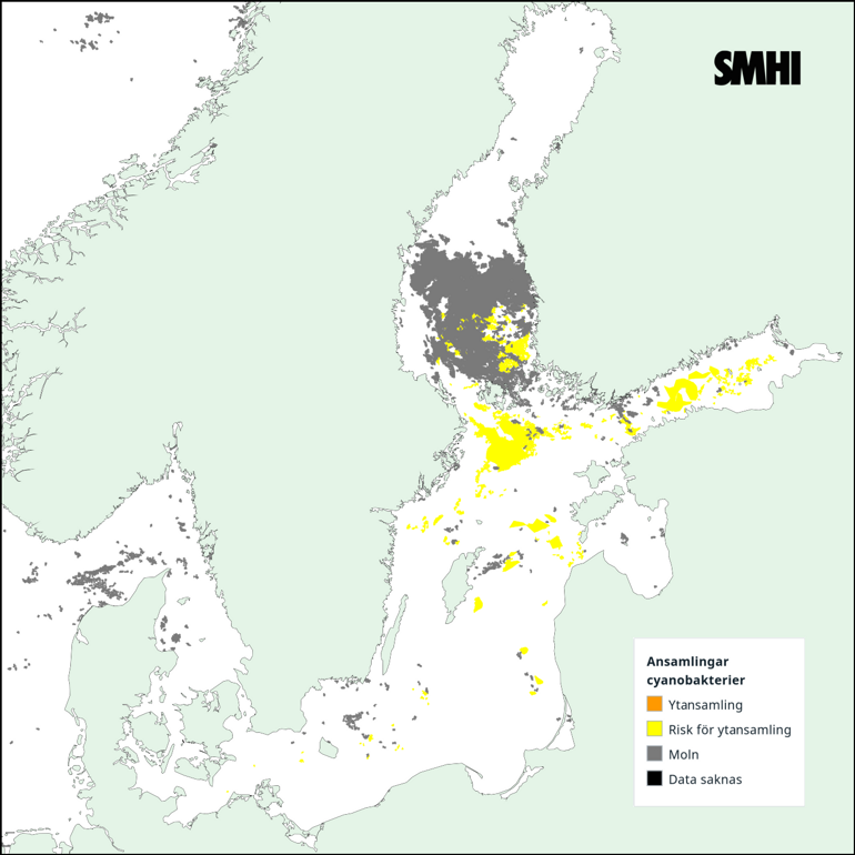 Tolkning av satellitkarta över Egentliga Östersjön 19/7. Källa: SMHI