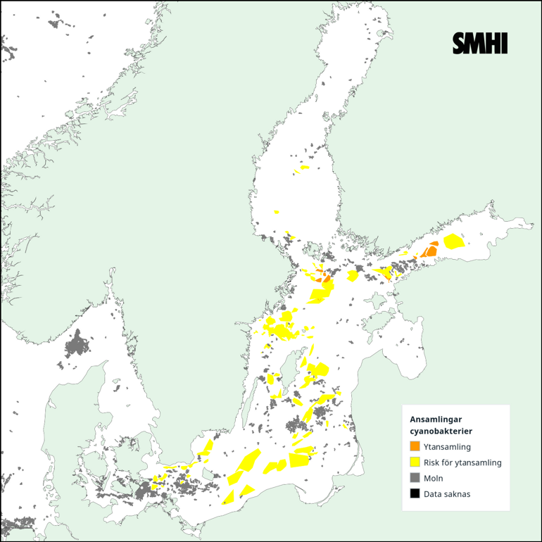 Tolkning av satellitkarta över Egentliga Östersjön 20/7. Källa: SMHI