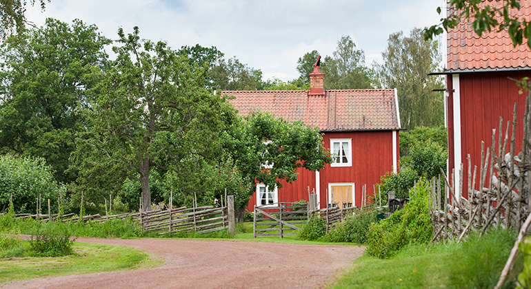 Röda hus med vita knutar utmed en lummig grusväg