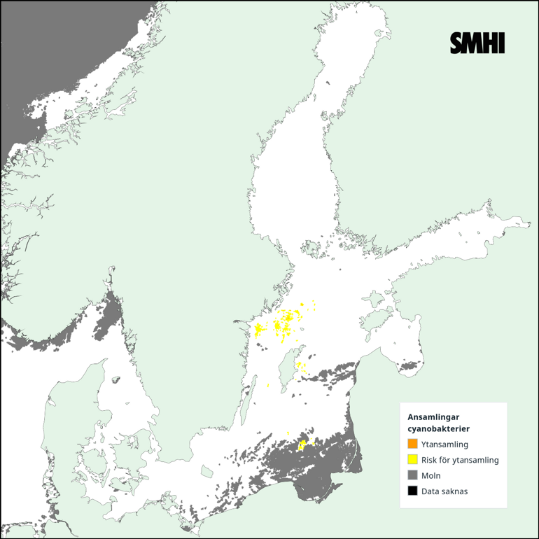 Tolkning av satellitkarta över Egentliga Östersjön 14/6. Källa: SMHI
