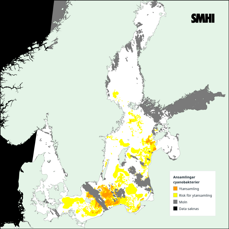 Tolkning av satellitkarta över Egentliga Östersjön 9/7. Källa: SMHI