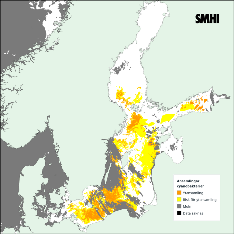 Tolkning av satellitkarta över Egentliga Östersjön 11/7. Källa: SMHI