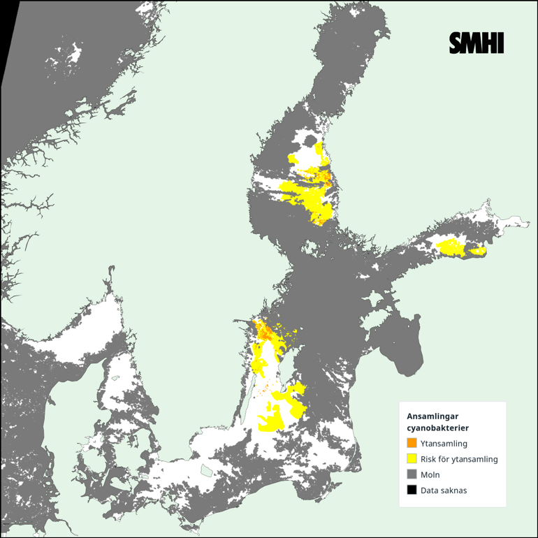 Tolkning av satellitkarta över Egentliga Östersjön 25/7. Källa: SMHI