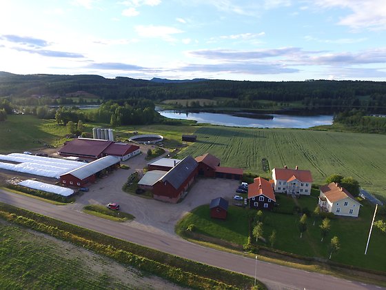 Lasse Larssons gård