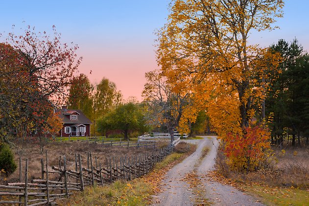 Bild tagen på hösten som visar en mindre landsväg som leder till en rödmålad stuga