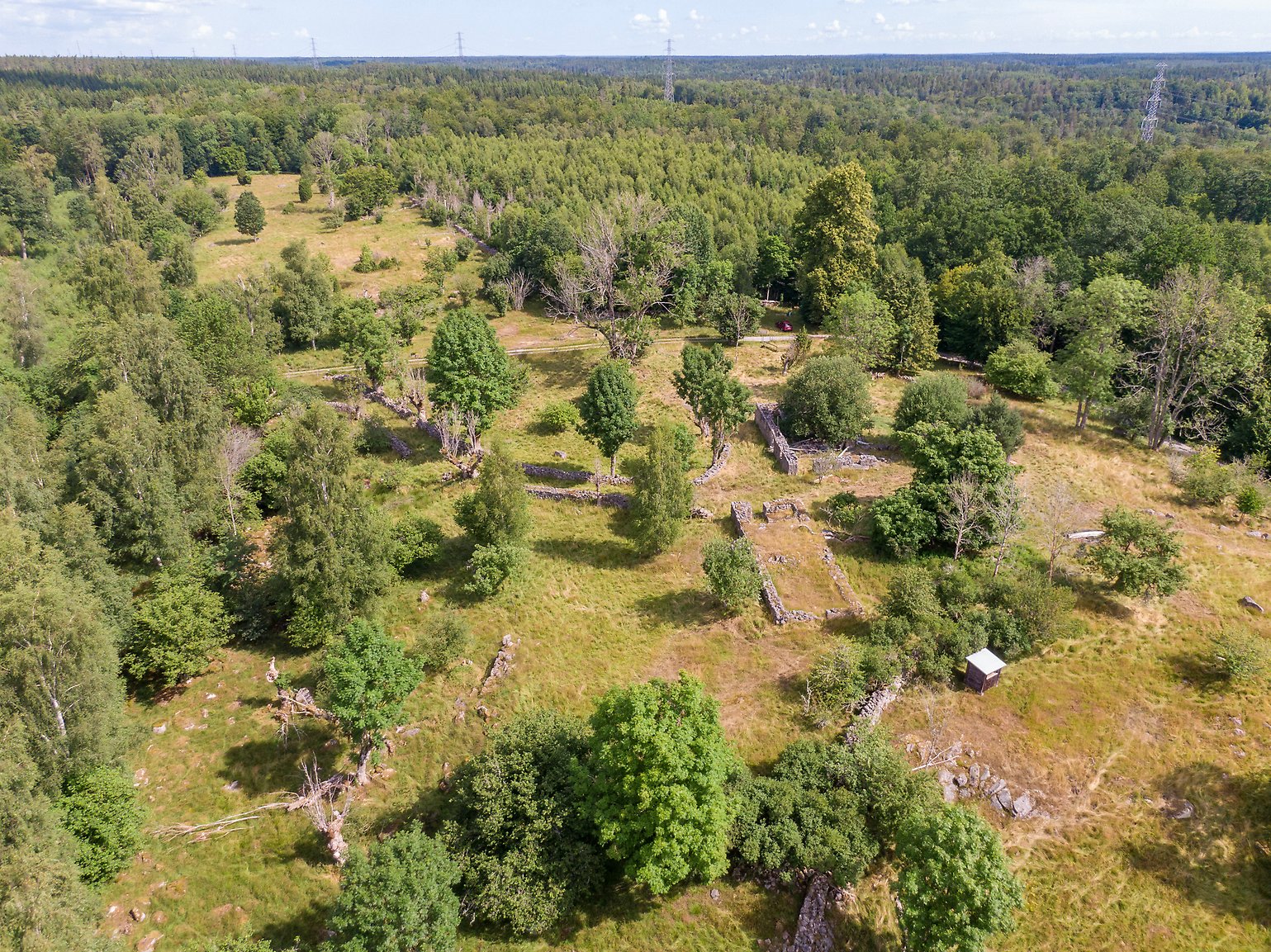 Drönarbild över lövängar i Angölsmåla. Foto: Robert Ekholm/Länsstyrelsen