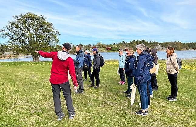 Reservatförvaltare Robin Pettersson guidar en grupp människor, de står på en grön äng med gullvivor och havet i bakgrunden. 