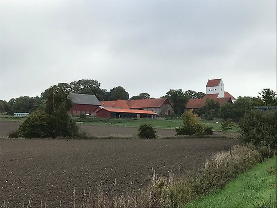 Dalby kyrka och kungsgård