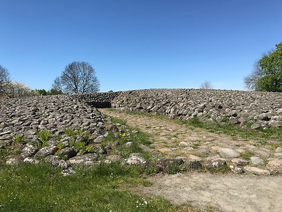 Kiviksgraven, Bredarör