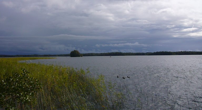 Utsikt över sjön Erken i Hammarens naturreservat. Foto: Länsstyrelsen