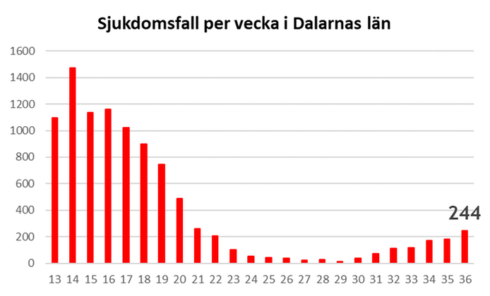 Graf som visar antalet sjukdomsfall (covid-19) i Dalarna - 244 stycken fall denna vecka.