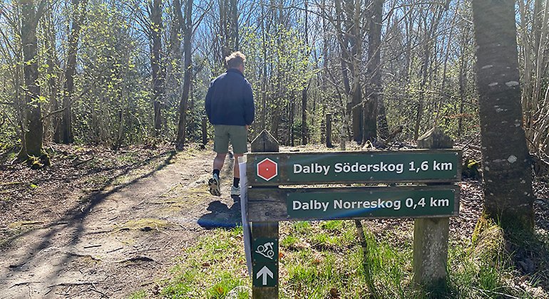 Led norrifrån till Dalby Norreskog. Foto: Carina Zätterström