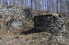 Ruiner efter Västra Skrikarhyttan. 