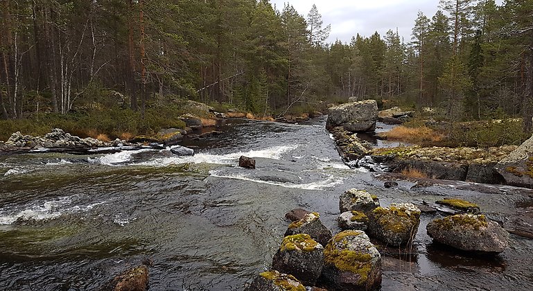 Gryssjöåns virvlande vatten. Foto: Länsstyrelsen Gävleborg