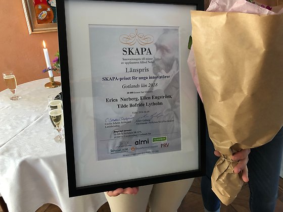 Diplom SKAPA-priset för unga innovatörer 2018