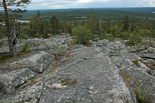 Utsikt ut över Kalix älvdal. Foto: Länsstyrelsen Norrbotten/Frédéric Forsmark