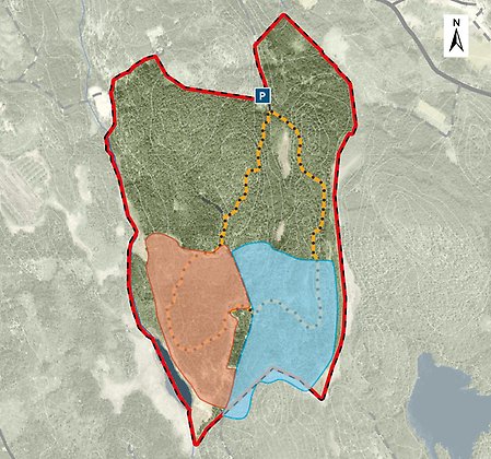 Karta över Stolpabergs naturreservat. Den röda ytan i sydväst naturvårdsbrändes 2019 och den blå ytan i sydost naturvårdsbrändes 2015. I norr ligger en parkering, och därifrån utgår en stig som går i en rundslinga genom stora delar av reservatet. Stigen passerar genom båda naturvårdsbränningarna. 
