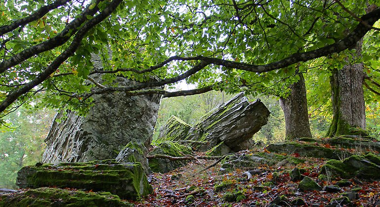 Stenblock av basalt. Foto: Mats Sjöberg