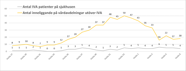 Graf som visar antalet patienter som vårdas i Dalarna på grund av covid-19