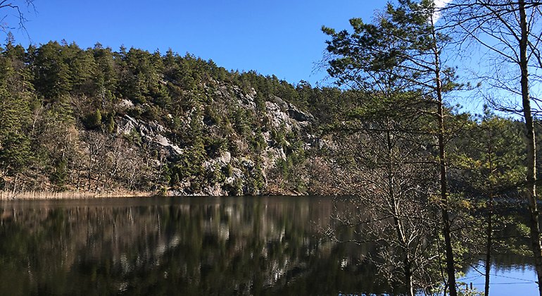 Bergsmassiv med skog bredvid en sjö.