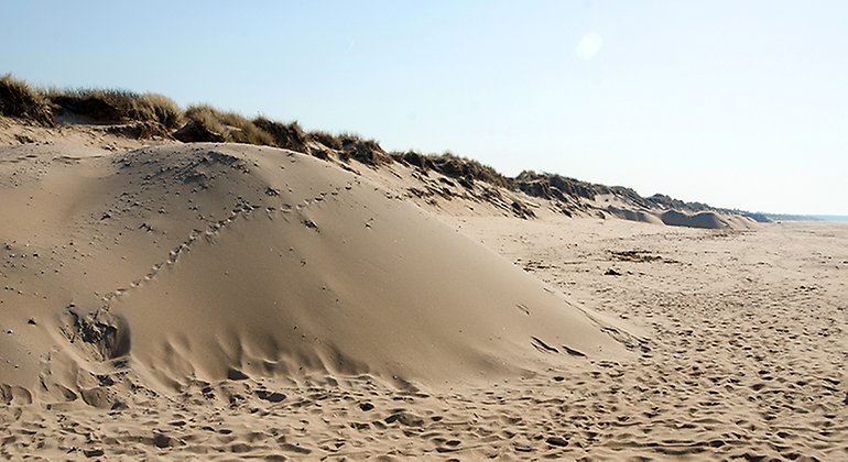 Sanddyna. Foto: Maria Sandell