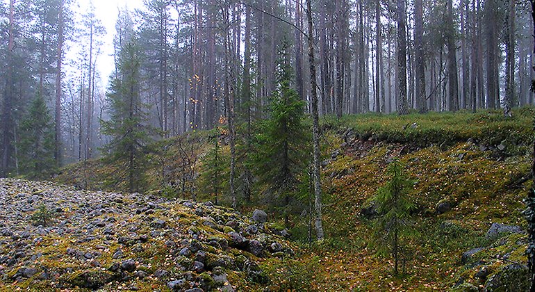 Ny led i Snöbergets naturreservat