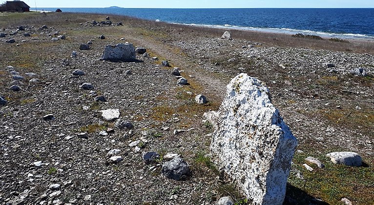Fornlämning med stenar i rad formade som ett skepp. I bakgrunden Kalmarsund med ön Blå Jungfrun i horisonten.