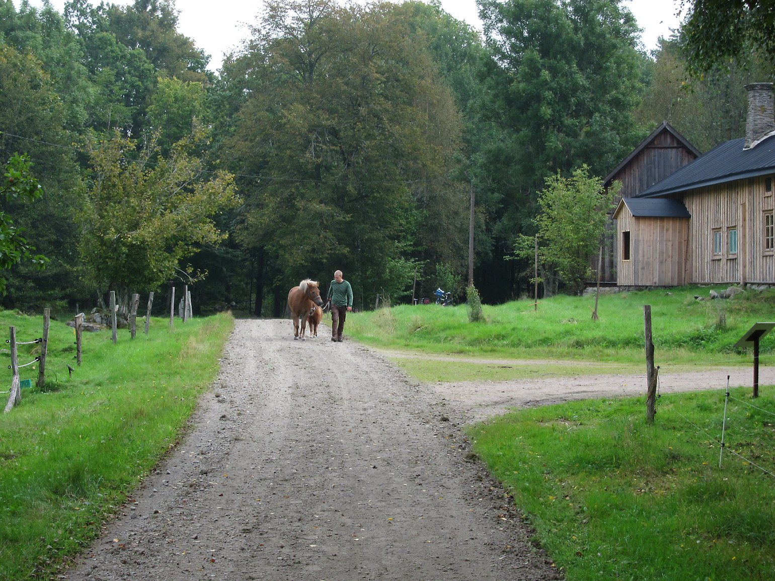 Örnanäs