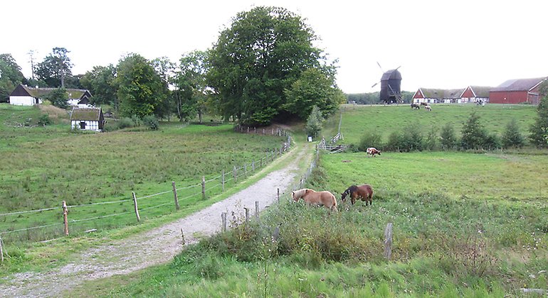 Gamlegård, Möllegården och betat kärr. Foto: Magnus Berglund