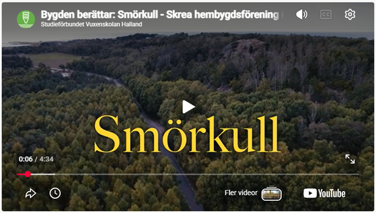 Skärmdump på filmen.