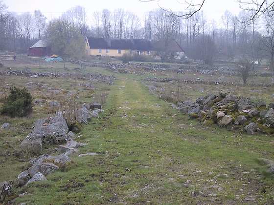 Brukningsväg i Benarp, Hörby kommun.