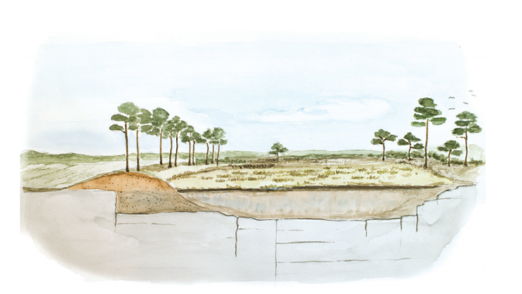 Illustration över hur våtmarker gynnar vattenförsörjningen genom att dels magasinera och fördröja vatten i landskapet och dels genom att gynna grundvattenbildning via infiltration om våtmarken anläggs i anslutning till genomsläppliga jordarter.