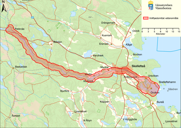 Karta över området i Skellefteälven som är drabbat av kräftpest.