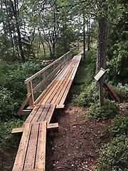 Träspång med räcker går genom skogen. 