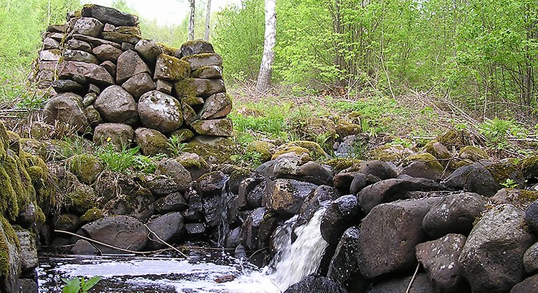 Stenröse vid en bäck som rinner ner i ett lågt fall.